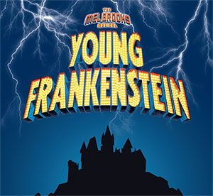 young frankenstein graphic young frankenstein graphic